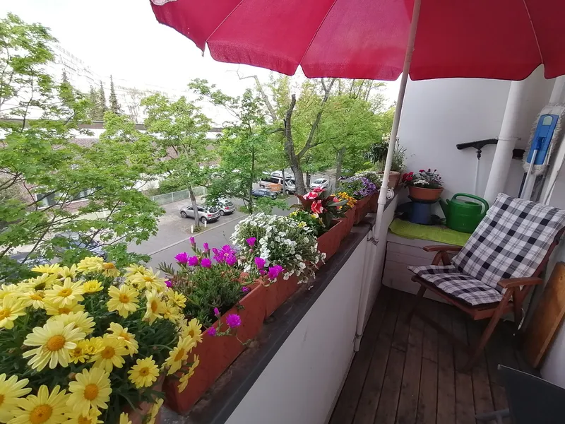 möblierte 3 Zi Wohnung in grüner zentraler, ruhiger Wohnlage, für max. 2 Jahre, ab Oktober 26 — photo 1